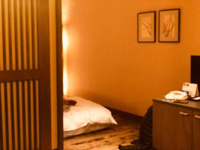 东京到镰仓和箱根攻略,东京箱根富士山镰仓