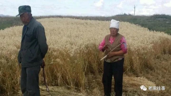 老家的印象和往事 (老家的印象介绍)