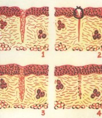院前创伤评估与救治,院前创伤急救评估