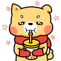 测评|据说吃货界的双十一“剁手”清单，长这样！