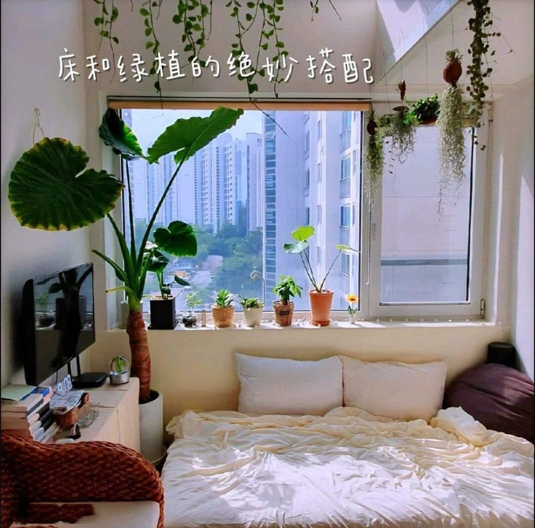 卧室床靠窗设计,卧室空间小还是开窗睡觉比较好