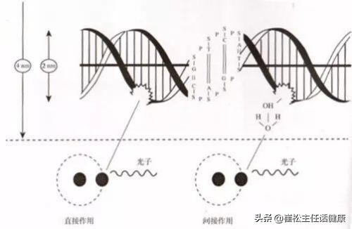 放疗射线危害,射线对人体有伤害吗