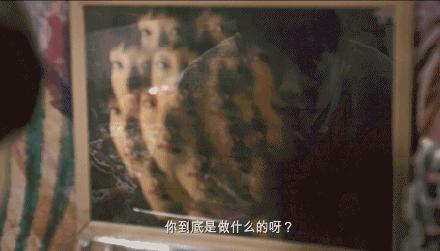 苗侨伟芒果台,4天2000万播放量