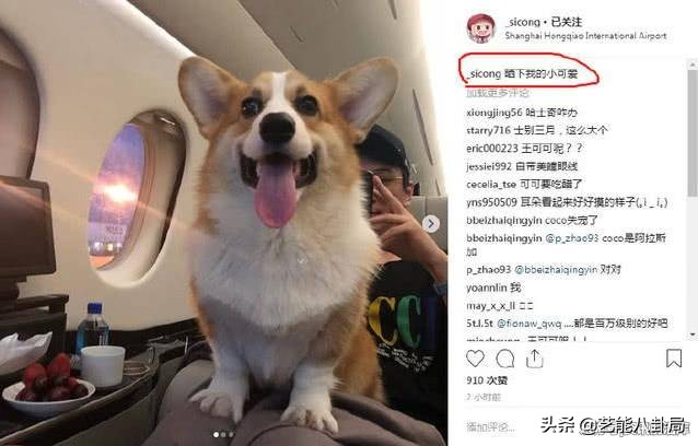 王思聪多少钱买的鸭子,王思聪买的什么鸭