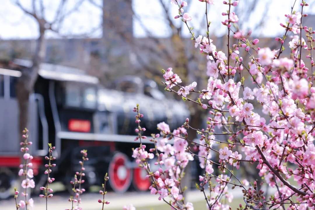 东软三个学院哪个好,大连东软科软排名