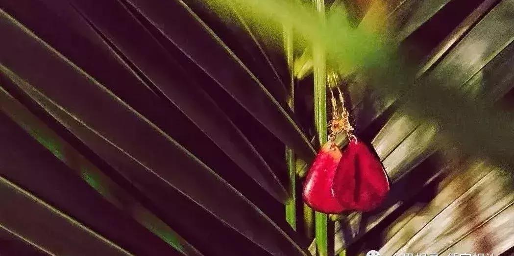 超级平价的耳夹推荐,小众的日常耳夹推荐