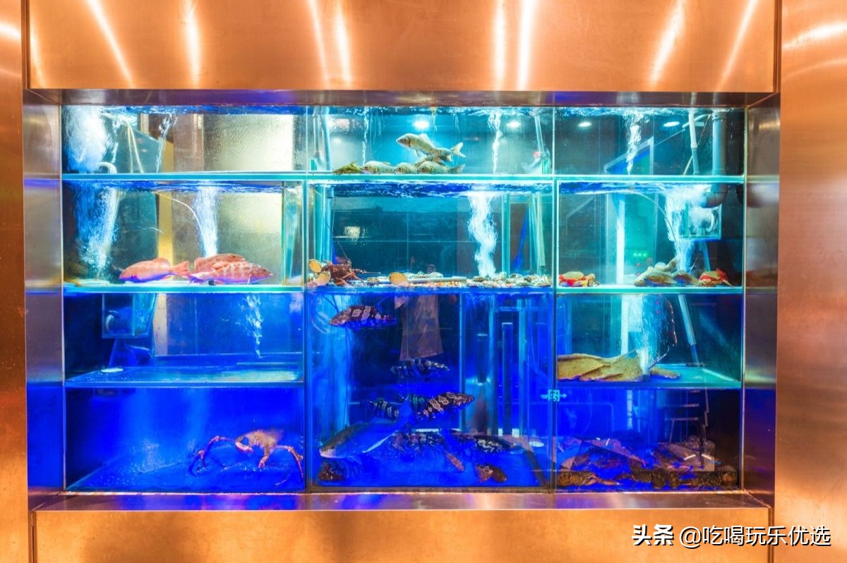 稻香海鲜点心酒家推荐,稻香海鲜点心酒家是只有晚茶吗