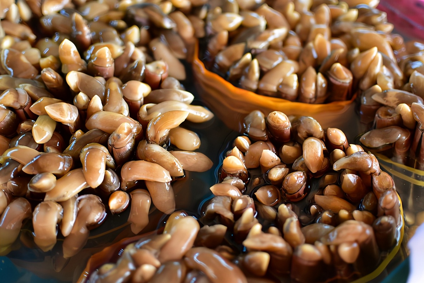 来三亚必吃的海南菜,三亚旅游在哪里吃海南菜