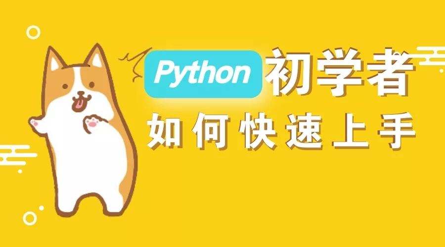 python老码农,老码农肺腑之言python
