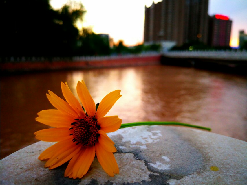 食管癌中晚期怎么治疗最好,食管癌晚期最好的处理方法