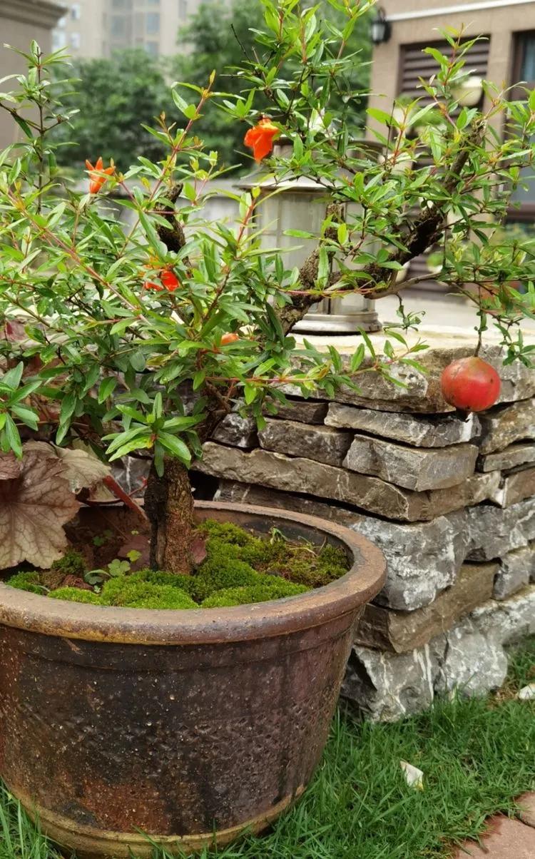 第七届园丁奖,第六届园丁奖奖励