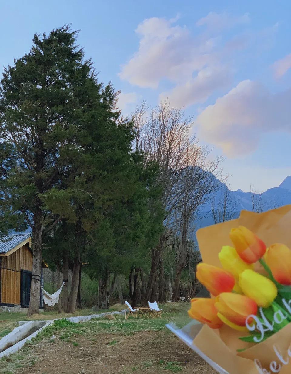 1分钟了解结婚全流程,正确结婚流程最全详细步骤