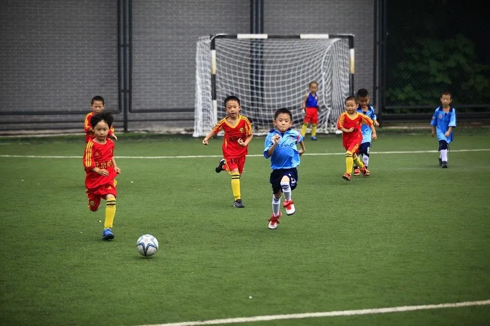 父子囧（26）//你是主力替补队员