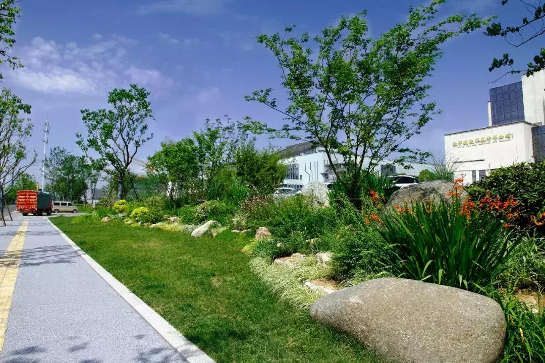 一石百景寸石丈情