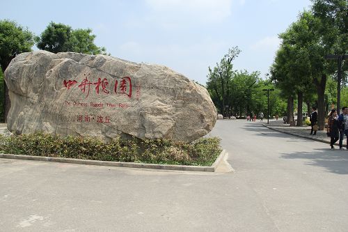 我的家乡周口沈丘作文,我的家乡沈丘论文