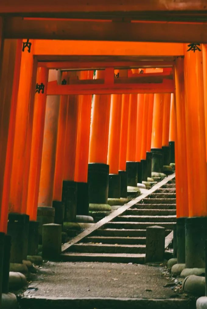 大阪京都奈良自由行怎么乘车,京都奈良旅游详细攻略