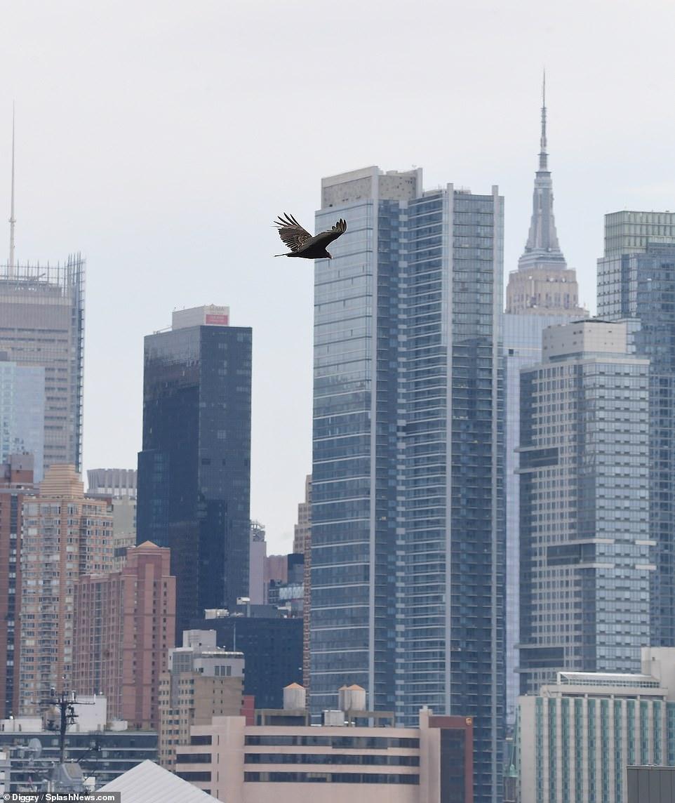 到底有多少真相被隐瞒?美军医疗船迎来意外之客,原因让人很揪心