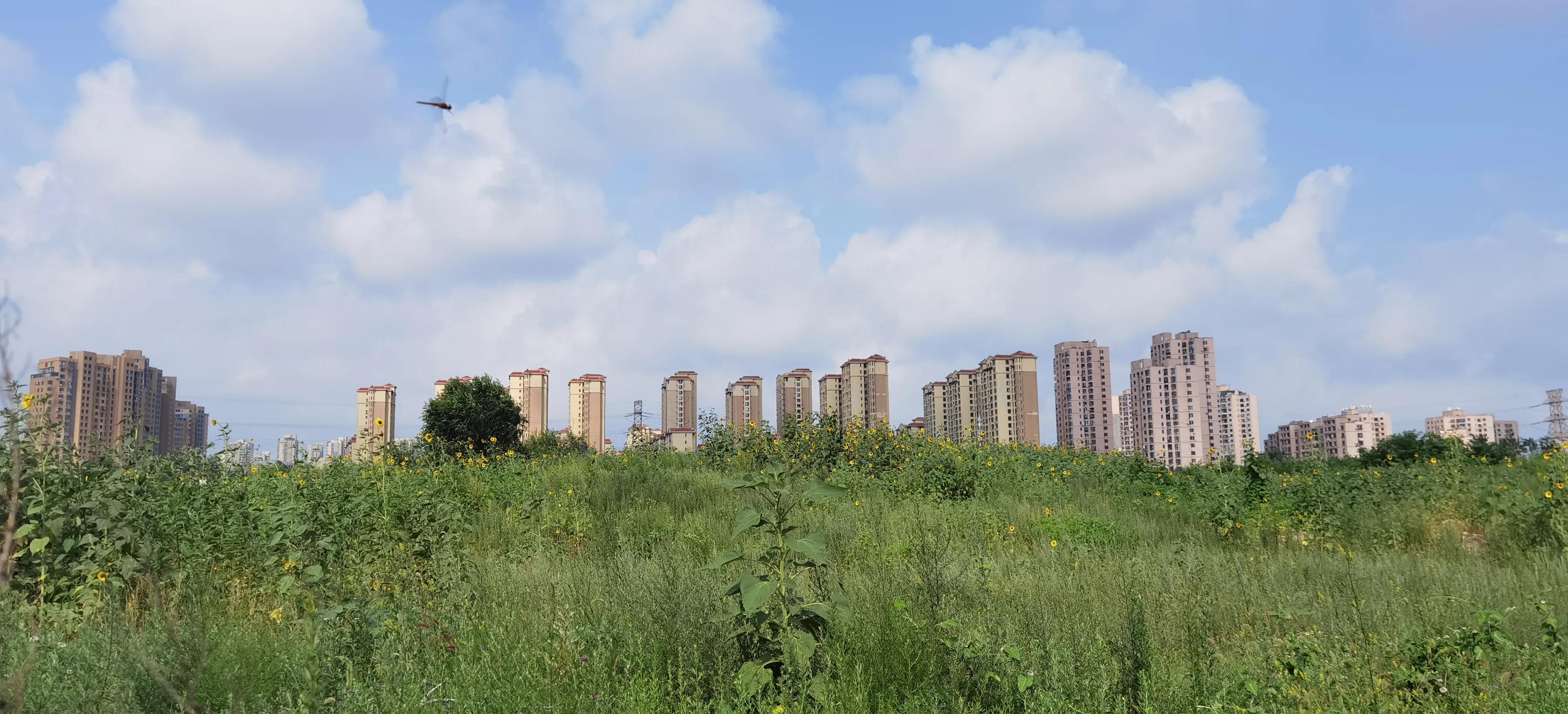 手拍世界投稿,手拍世界作品专集