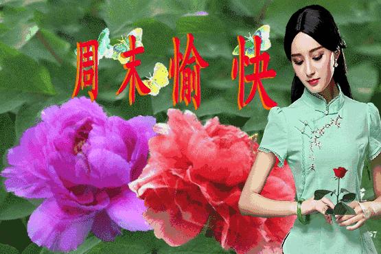 周末动态图片大全周末动态祝福图片大全