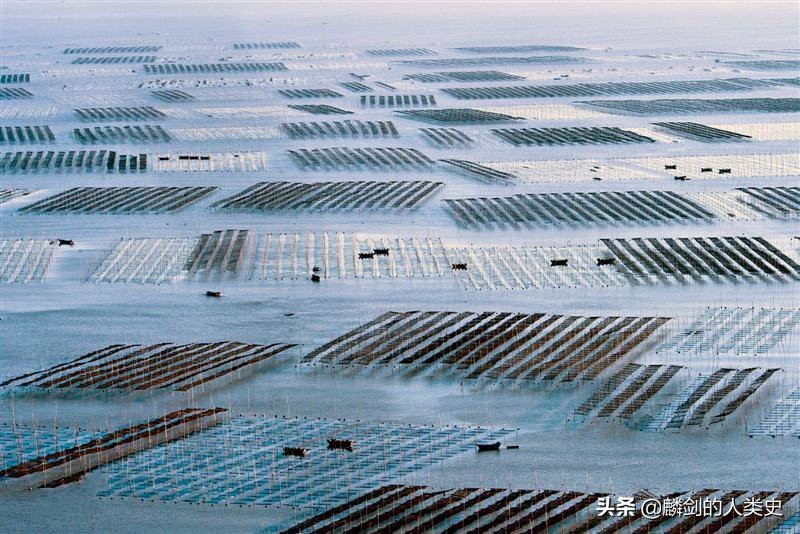 地球生物完整版,地球生物的多样性讲解