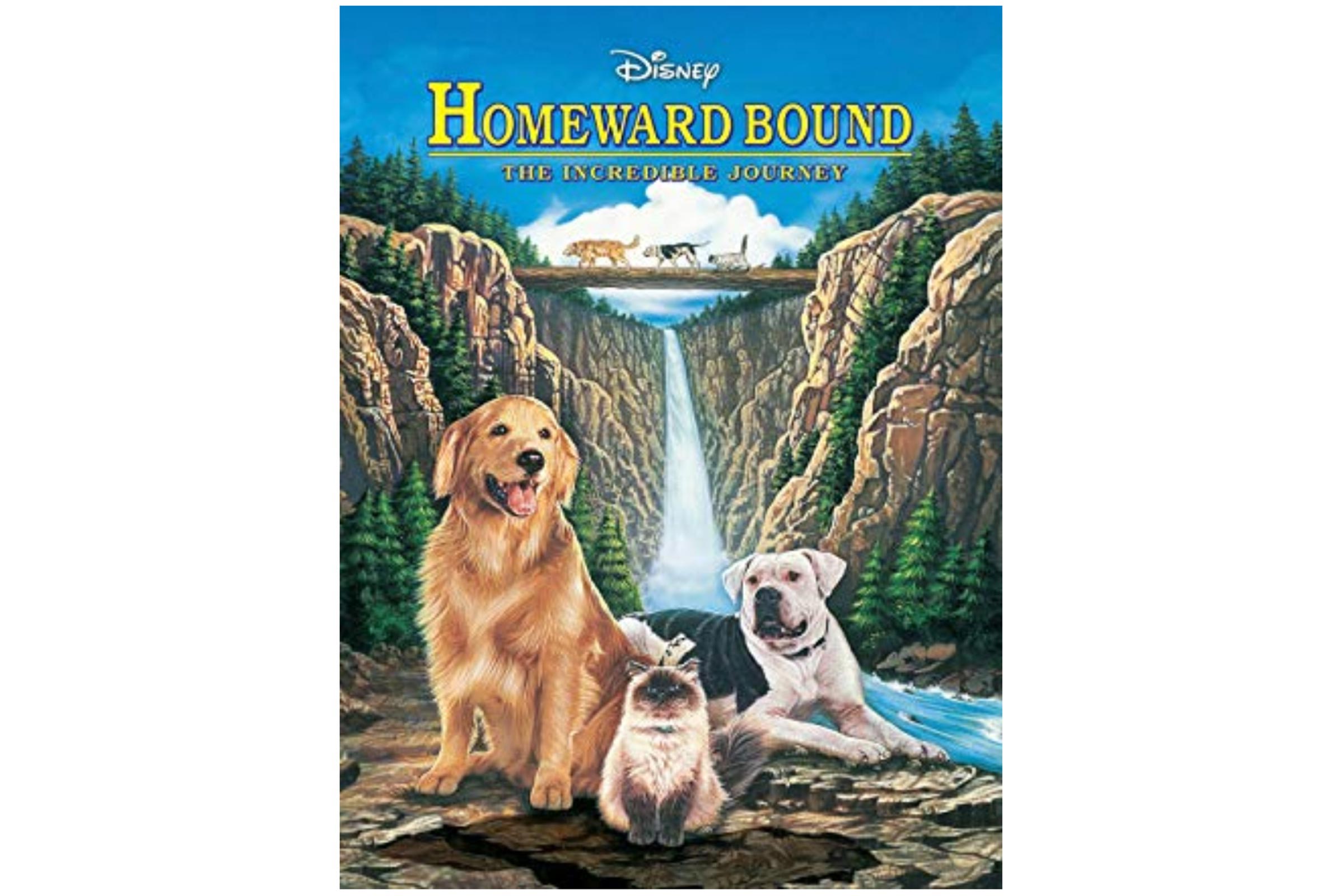 10部好看的女特工电影,10部好看的缉毒电影