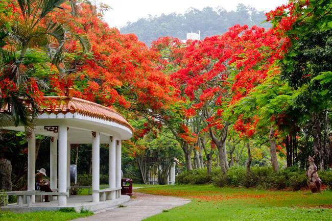 湖泊风景区推荐,深圳十大免费主题公园