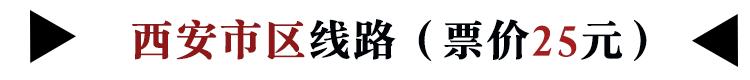 宝鸡到西安咸阳机场大巴时刻表,西安机场巴士南稍门