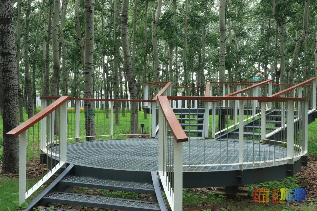 免费！市区就有“小森林”，花海芳香扑鼻！还有美好的祝福送给你