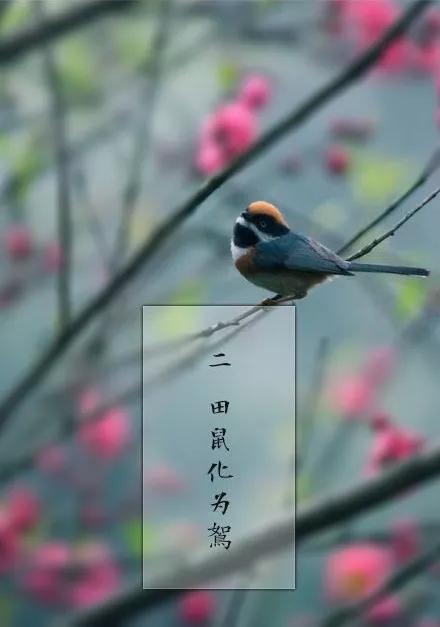 清明节雨纷纷追思故人,清明时节雨纷纷悼念故人