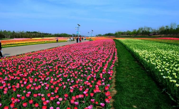 深圳到海南一周自驾游最佳方案,深圳周边旅游景点推荐自驾游