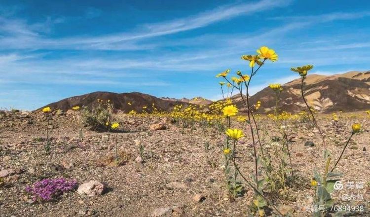 内蒙古二连浩特地图,内蒙古二连浩特机场