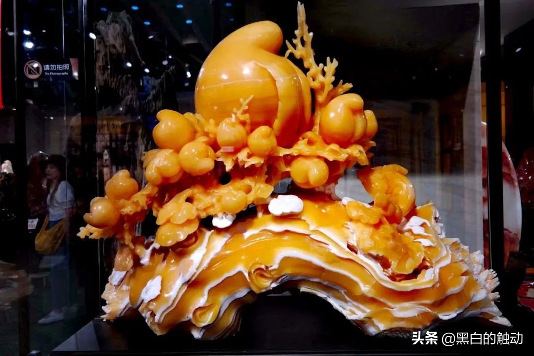 都说新疆好去新疆发展可靠么,都说新疆好地方