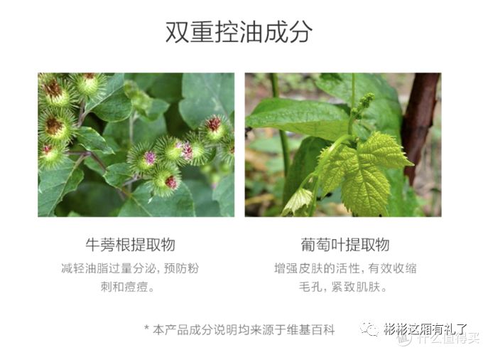 适合夏天控油的护肤套装,油性皮肤控油补水套装