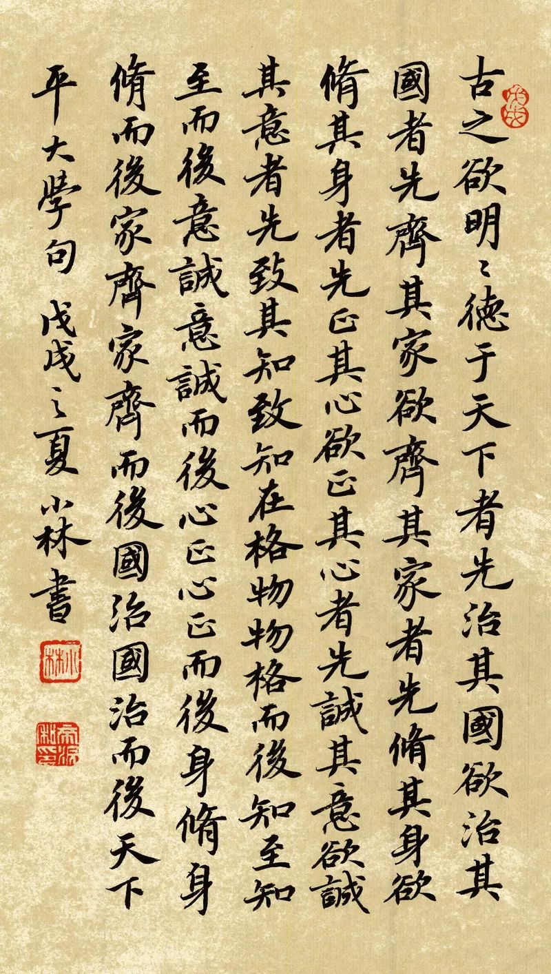 我能行作文写放学回家,放学了我急匆匆地赶回家作文