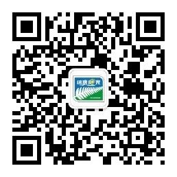 煎牛排用什么油可以代替黄油,煎牛排用什么油不会溅