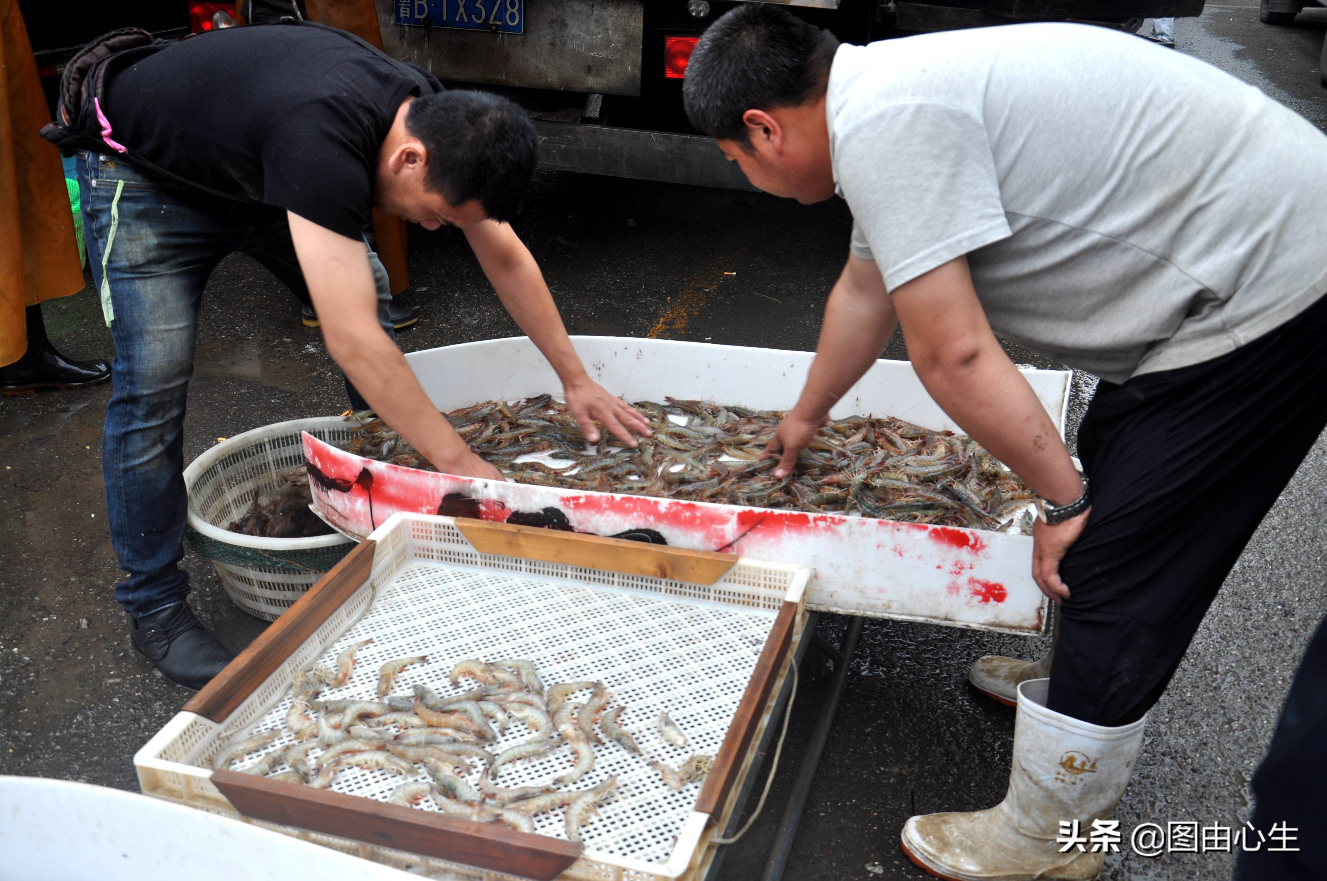 节后生意开忙，青岛批发大虾老板凌晨3点起床，十年买了三套房