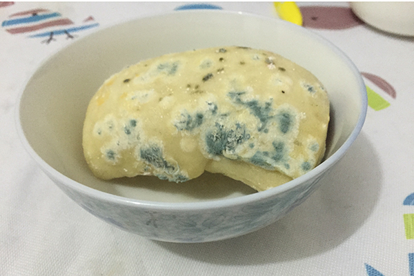 护肝养肝的最好季节,养肝护肝什么季节最合适