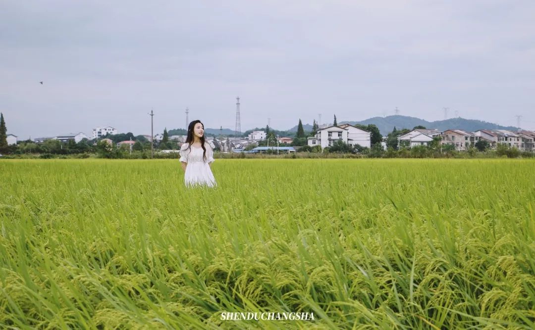 长沙秋季旅游景点推荐,长沙旅游攻略必玩的十大景点推荐