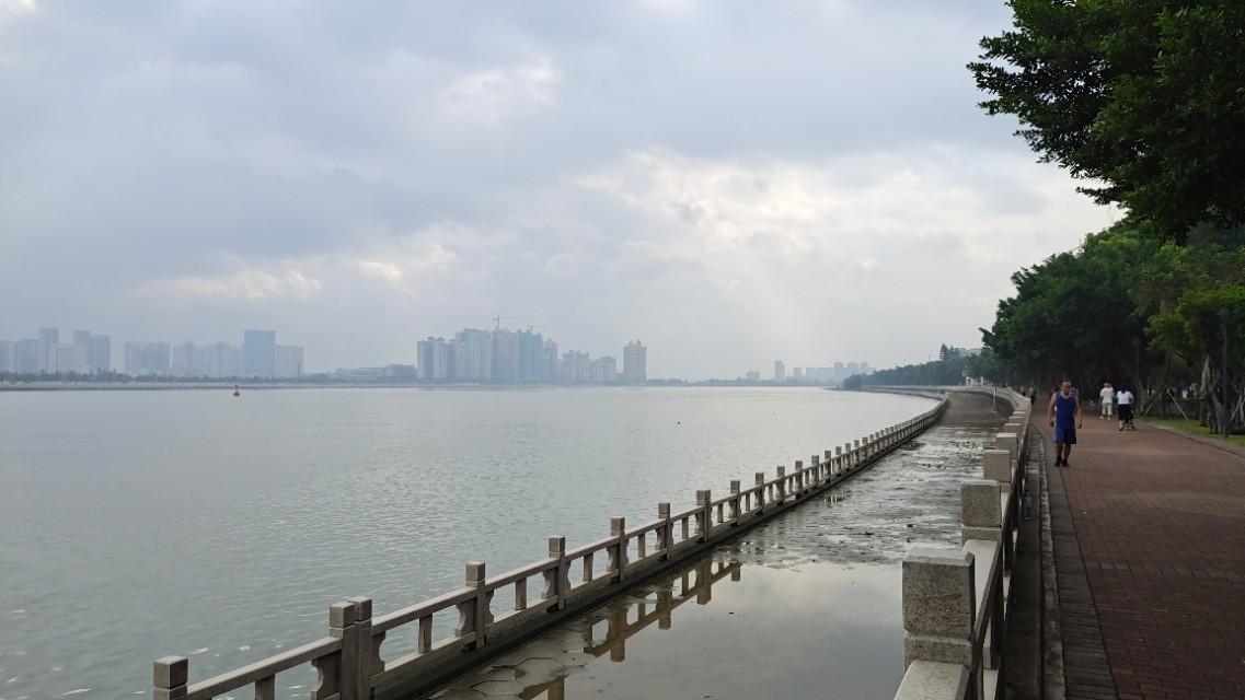 珠海井岸黄楊河湿地公园,20200927