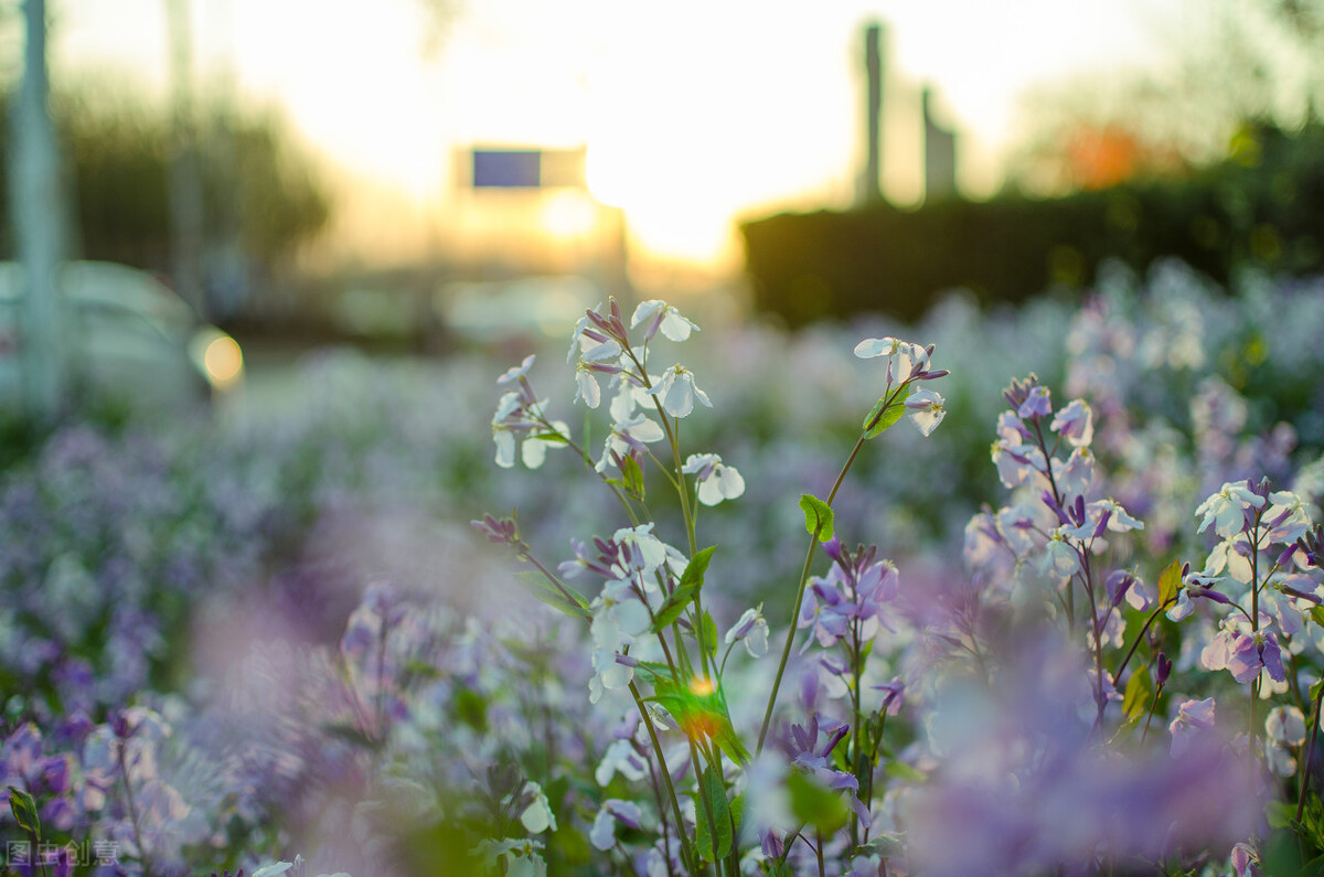 和大姑姐关系不好老公该怎么办,大姑姐要结婚我怎么表示