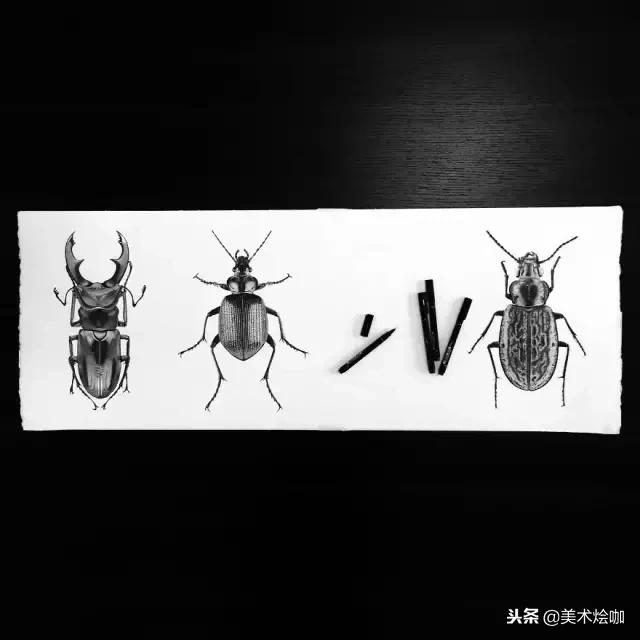 用1支针管笔点画了200小时，结果很惊人