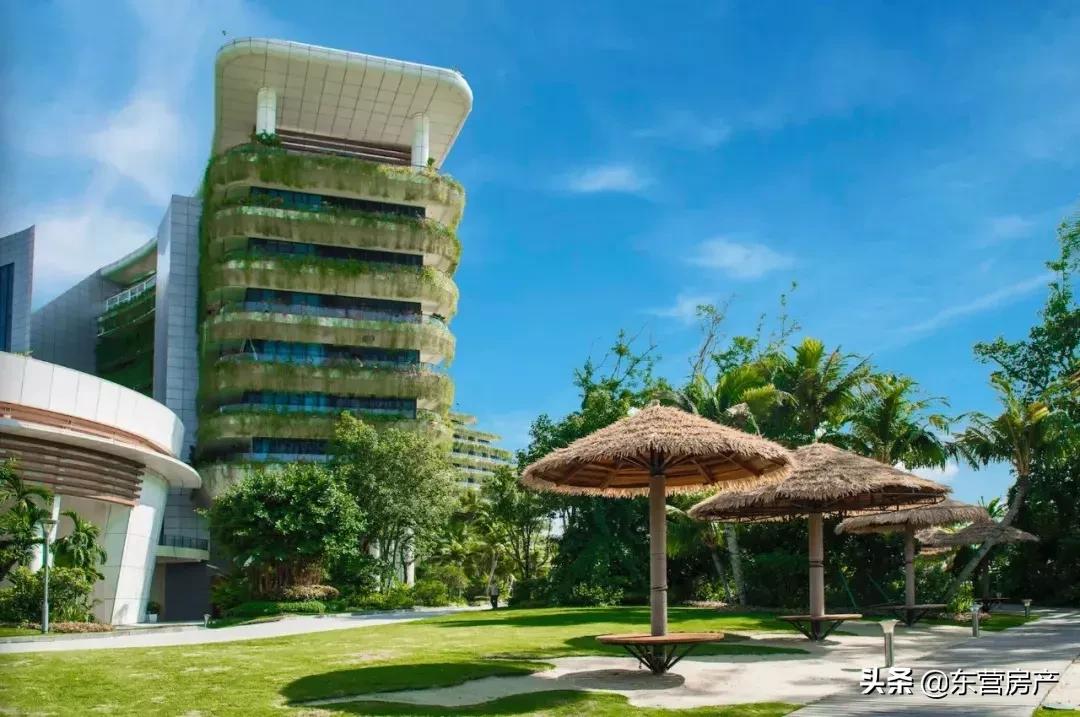 碧桂园森林城市与海花岛,碧桂园城市花园格局