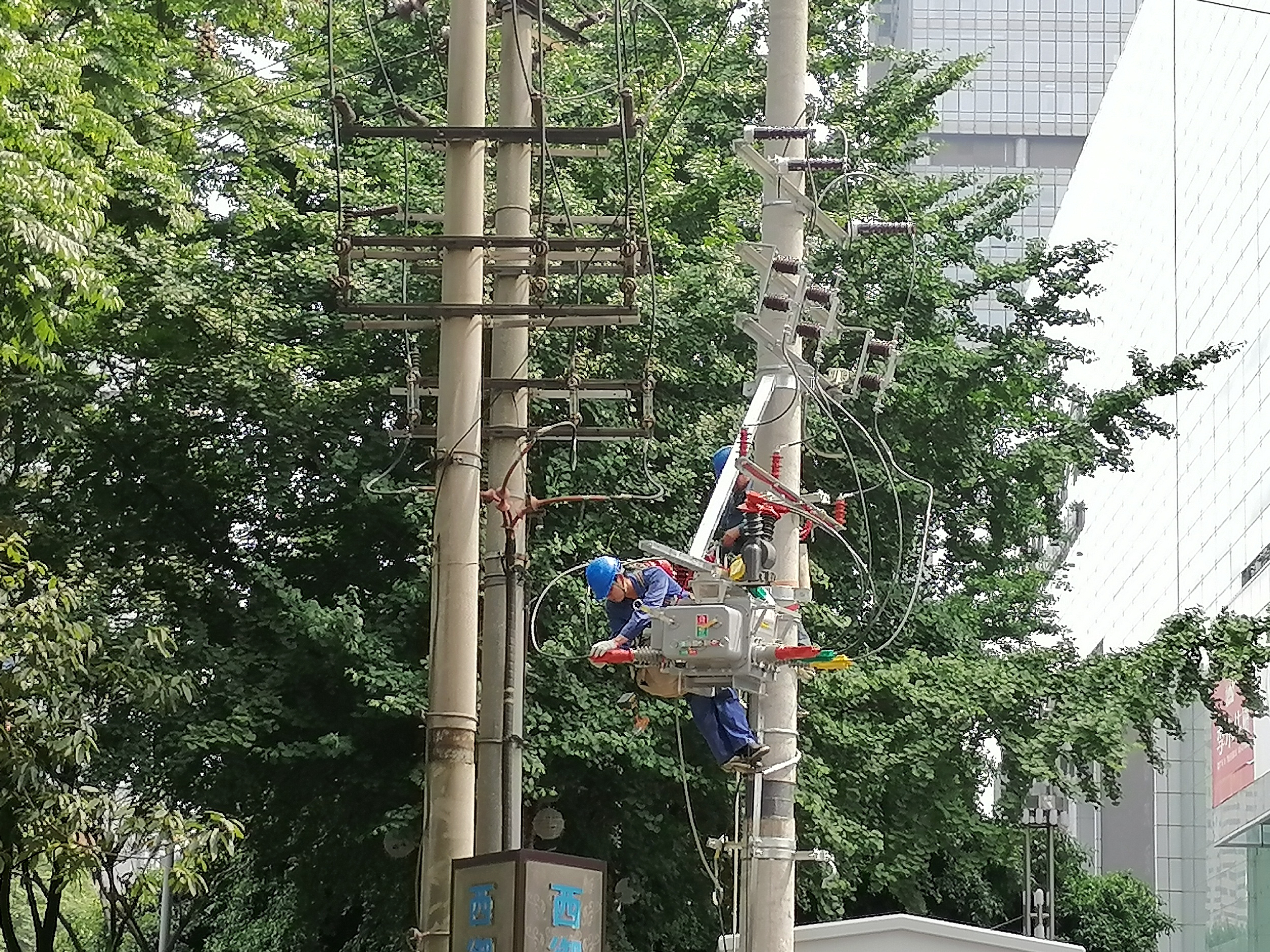 陈篾匠搬家记!宜宾供电公司:“电气化”提升乡村振兴“加速度”