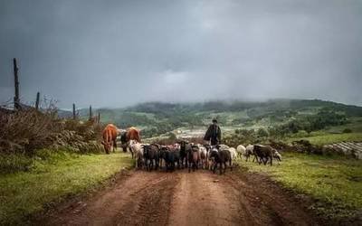 大理剑川沙溪古镇简介,大理宾川沙溪古镇