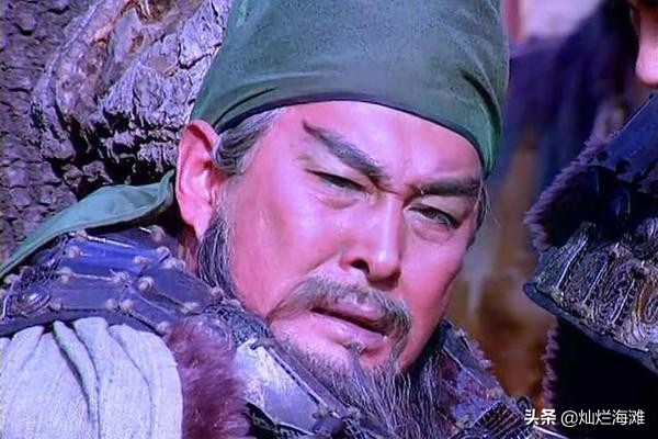 关兴张苞在正史上是什么水平,关兴张苞的武艺都是谁教的