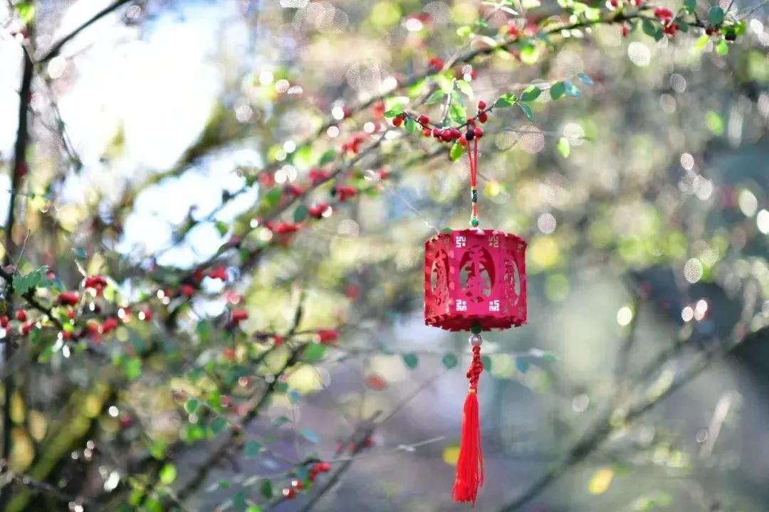 每周摄影作品展的第102期佳作欣赏,每周摄影作品展官网