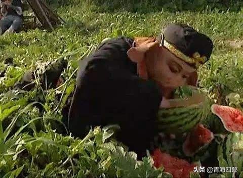 西瓜被人偷倒赔300后续发展,西瓜被人偷反赔300块完整版