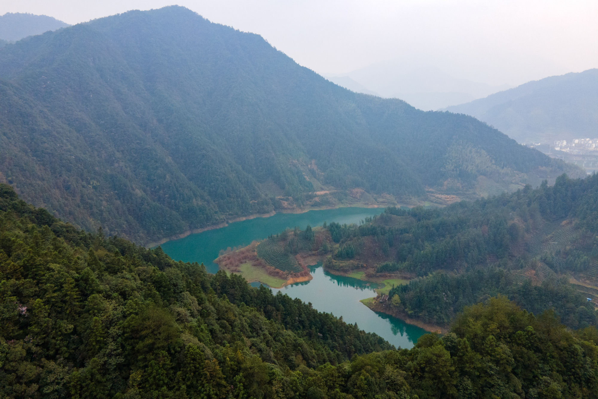 琛㈠窞姘戝閲戝,琛㈠窞閲戝