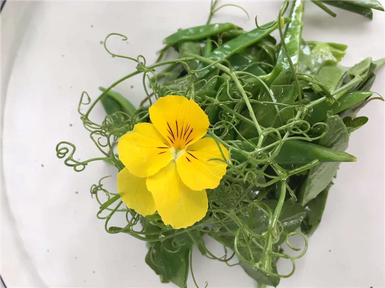 服装设计+花艺设计，只爱百分百纯天然