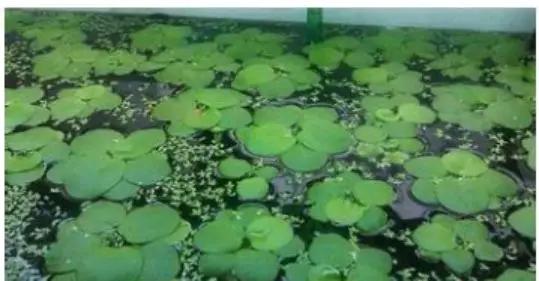 你所不知道的汉语魅力,你所不知道的汉语